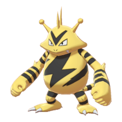 #125 Electabuzz(DLC 2)